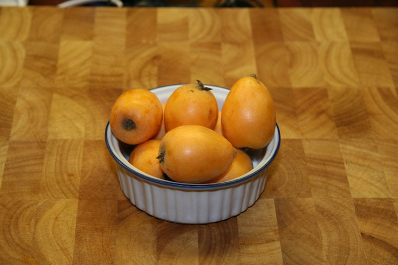 loquat-001.jpg