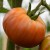 Close up of an orange/black, large, beefsteak Black from Tula tomato, with small pleats, hanging from the top right of the picture from a green stem and stalk.