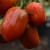 Three, long, deep red/black meaty, shiny tomatoes hanging down from green stalks