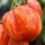 Close up photo of a large, slightly pleated, red, part striped orange Gogoshari Striped tomato.