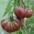 Two large red/purple, pleated Purple Calabash tomatoes, hanging with green, tinged black stalks to green stems,