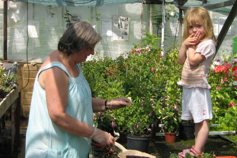 Molly Helping Nanny With Her Fuchsias