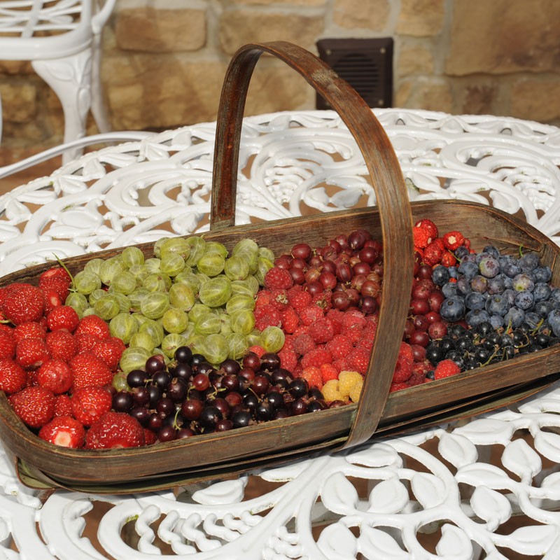sq-fruit-basket-011.jpg