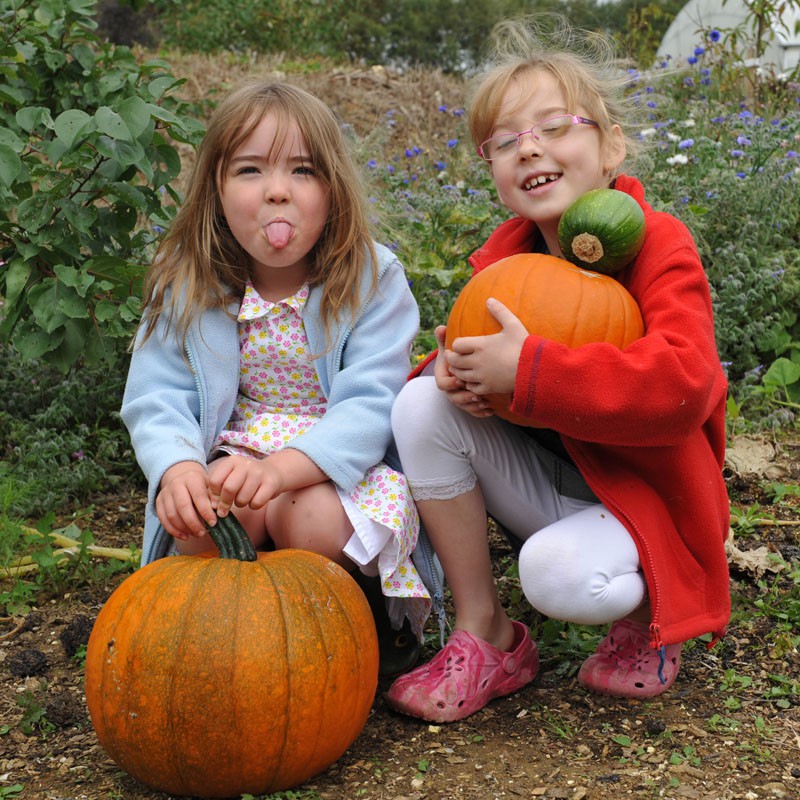 sq-harvesting-pumpkins-017.jpg