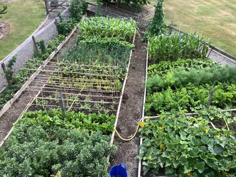 July 2022 On The Veg Garden